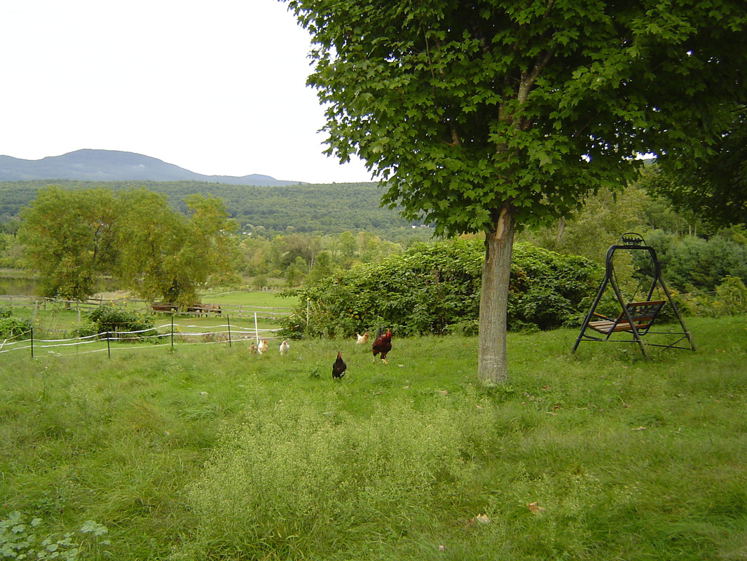 Picture